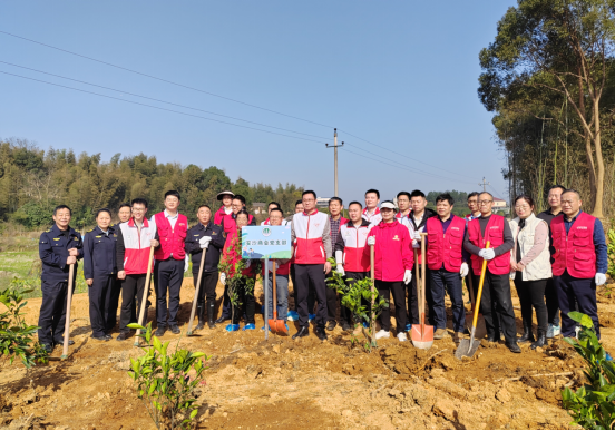 圣保羅家居積極響應安沙商會植樹節活動