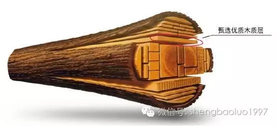 高“顏值”高內(nèi)涵養(yǎng)成術(shù)（三） ——圣保羅實(shí)木地板